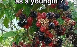 “Do You Remember When”: 50 Pics That Might Not Make Any Sense If You’re Too Young (New Pics)