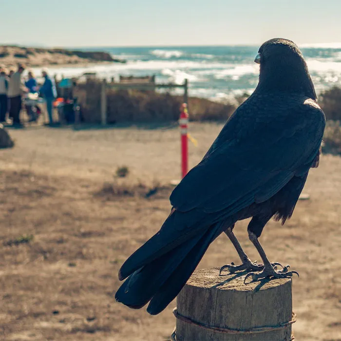 Random Facts That Will Make You Say “Wait, What?”