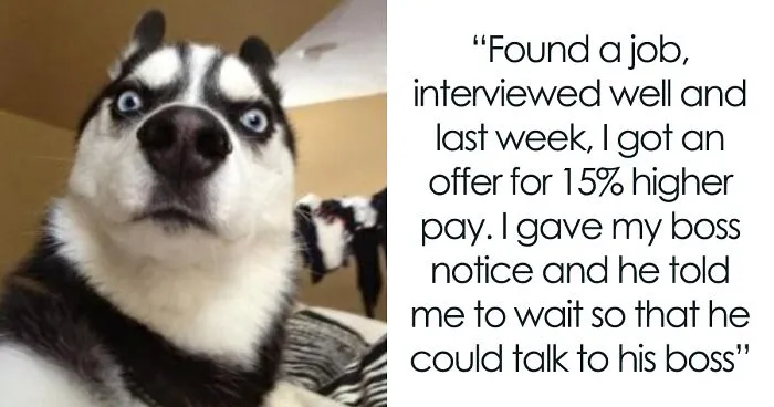Guy Is Stunned After Being Accused Of Unethical Pay Raise Negotiation For Choosing Counteroffer