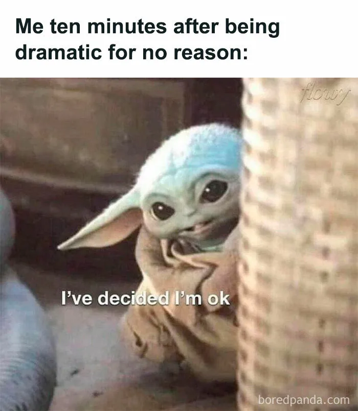 50 Hilarious Memes About Life That Are Spot-On