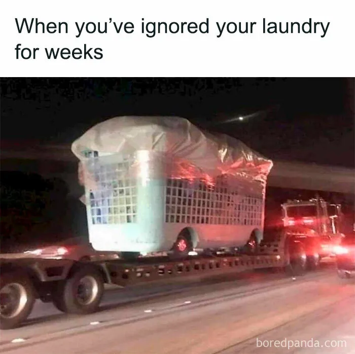 50 Hilarious Memes About Life That Are Spot-On