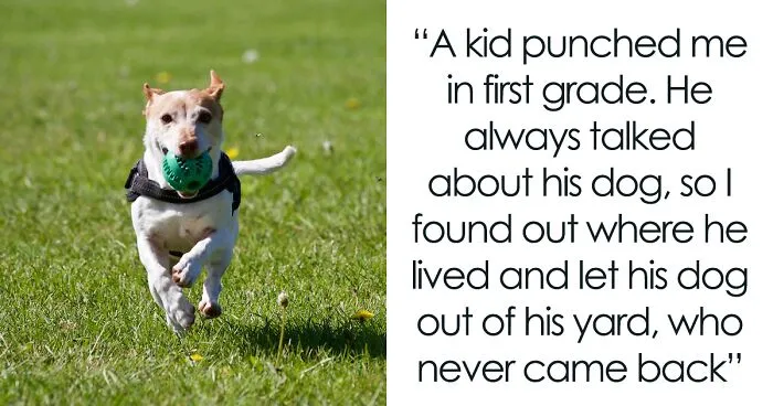 People Share 28 Of The Most Sadistic Things They Did As Children