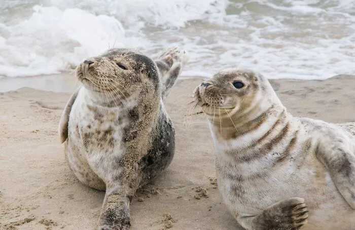 "What Really Gets Under Your Skin?": 30 Responses From Our Community