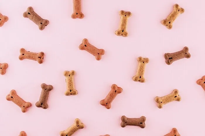 20 Señales claras de que alguien es hijo único