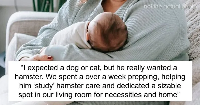 Parent Won’t Make Son Change Hamster's Name Which SIL Wants For Her Child, She Absolutely “Blows Up”
