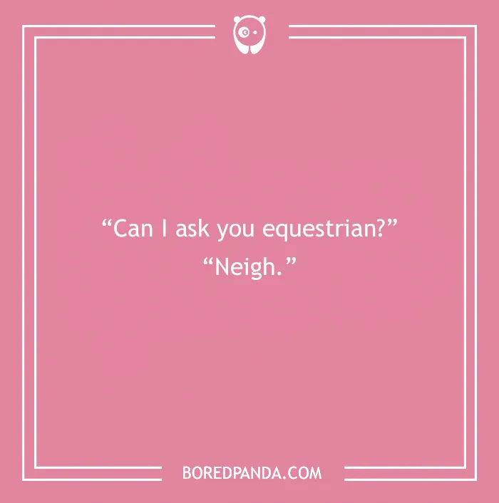 142 Hay-larious Horse Puns to Giddyup with Laughter