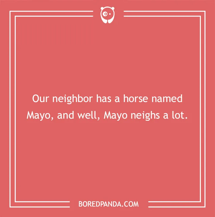 142 Hay-larious Horse Puns to Giddyup with Laughter