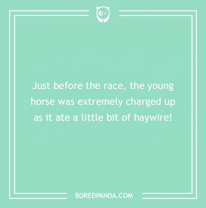 142 Hay-larious Horse Puns to Giddyup with Laughter