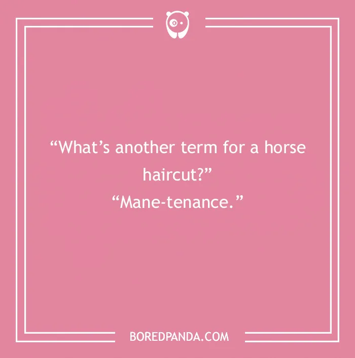 142 Hay-larious Horse Puns to Giddyup with Laughter