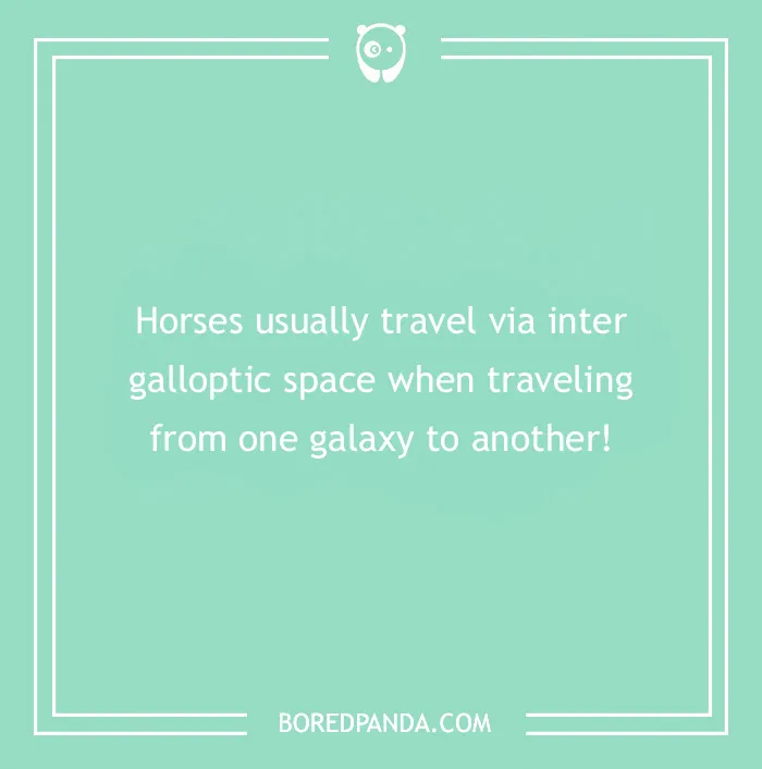 142 Hay-larious Horse Puns to Giddyup with Laughter