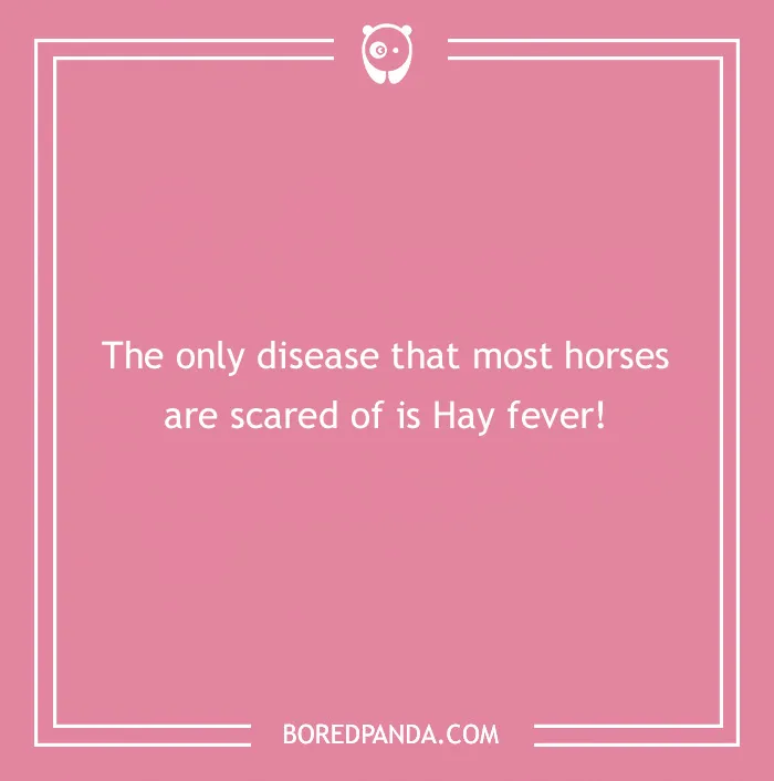 142 Hay-larious Horse Puns to Giddyup with Laughter