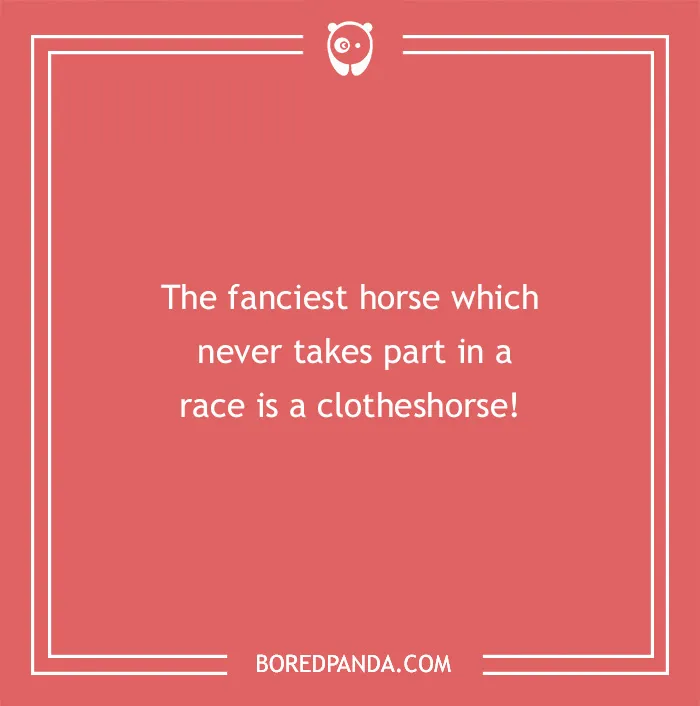 142 Hay-larious Horse Puns to Giddyup with Laughter