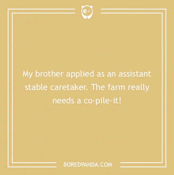 142 Hay-larious Horse Puns to Giddyup with Laughter