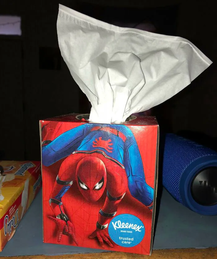 Webs and Wipes