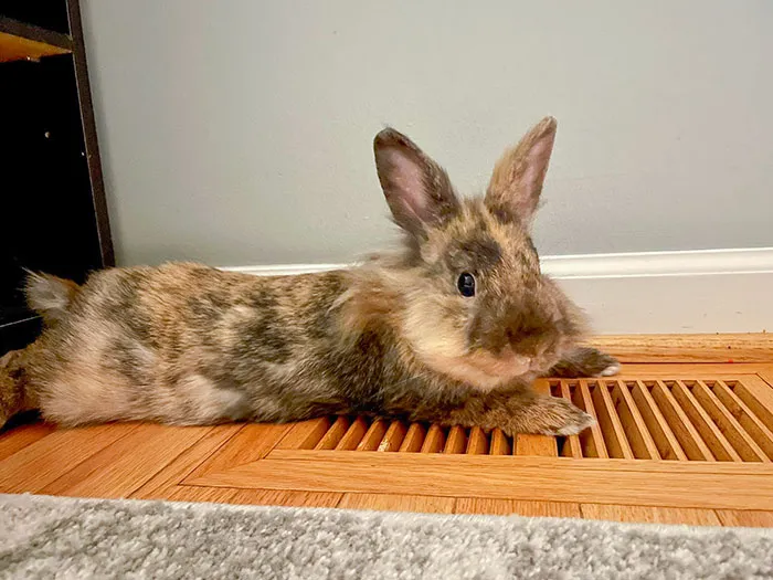 Heatwave... Gotta Stay Cool