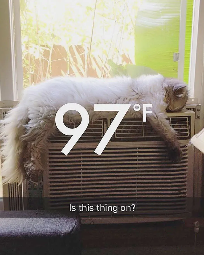 Heatwave In Portland