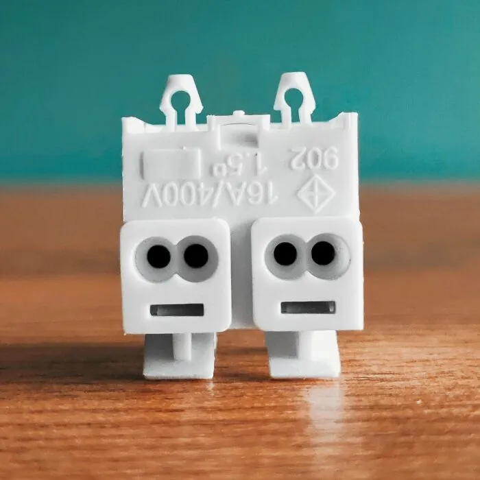 Siamese Twins