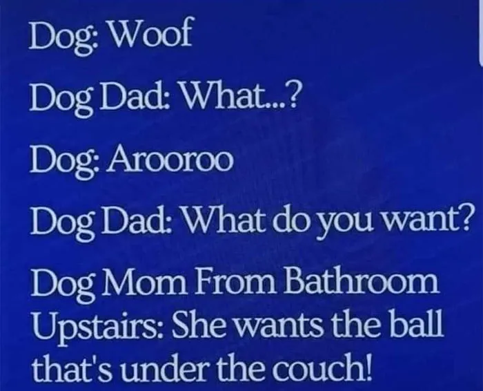 Text conversation meme with a dog, dog dad, and dog mom, highlighting a funny moment about a ball under the couch.