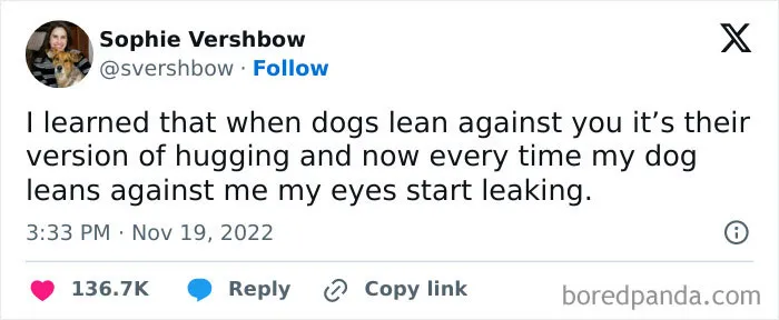 Dog Hugs