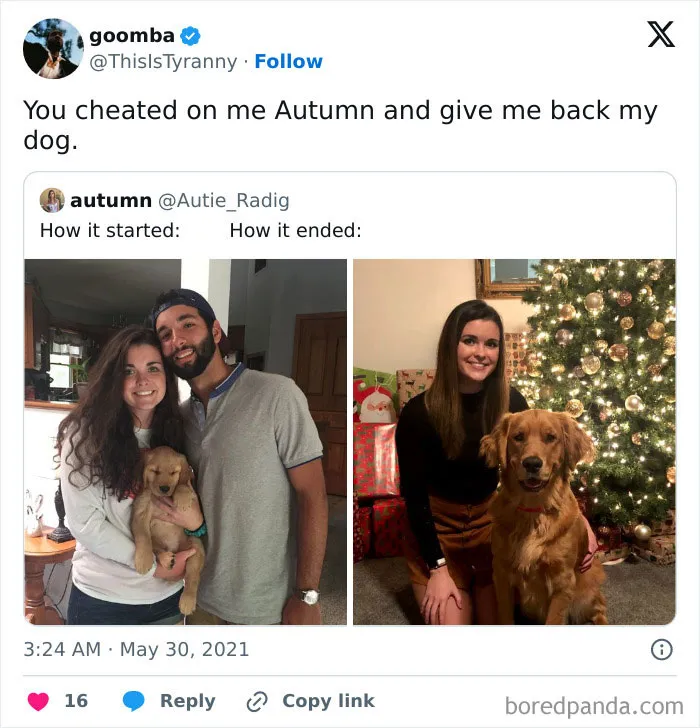 50 Of The Most Hilarious Comebacks To Have Graced The Internet