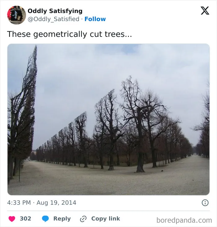 "Oddly Satisfying": 40 Times People Were Unexpectedly Pleasantly Surprised By What They Saw