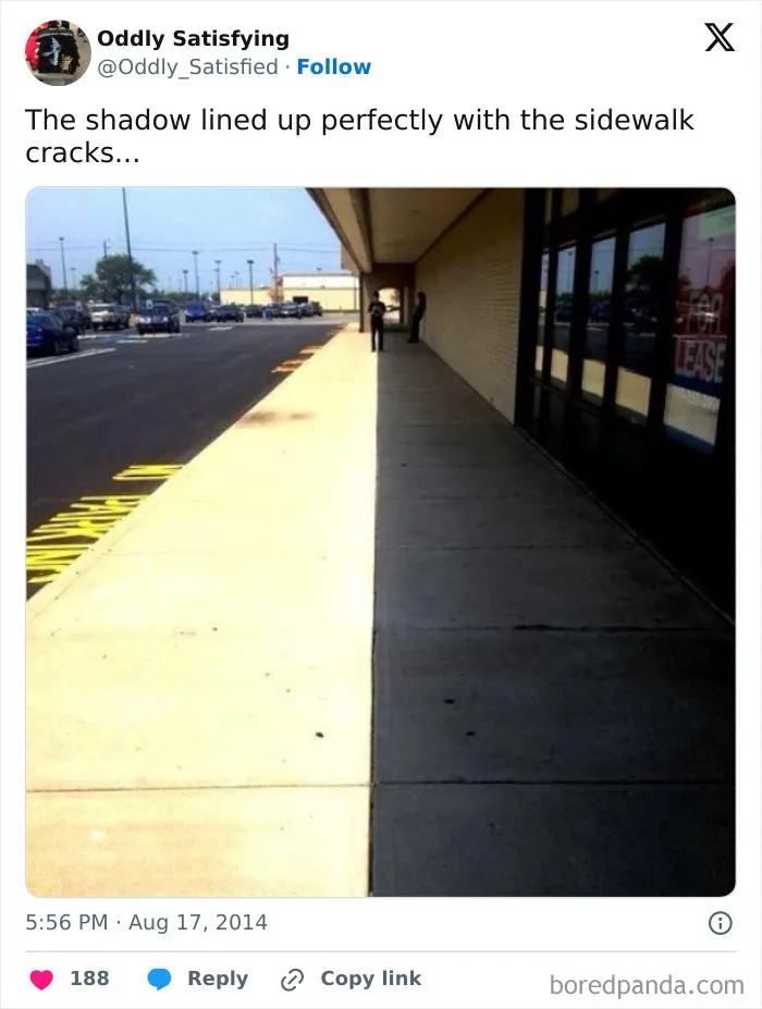 "Oddly Satisfying": 40 Times People Were Unexpectedly Pleasantly Surprised By What They Saw