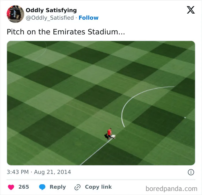 "Oddly Satisfying": 40 Times People Were Unexpectedly Pleasantly Surprised By What They Saw