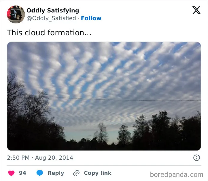 "Oddly Satisfying": 40 Times People Were Unexpectedly Pleasantly Surprised By What They Saw