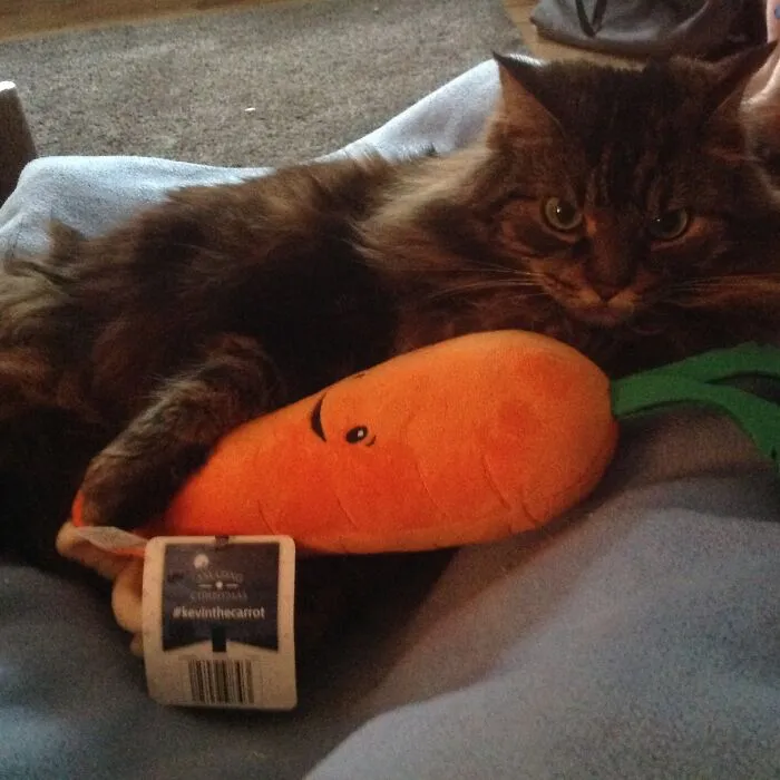 She Loves Her Carrot!