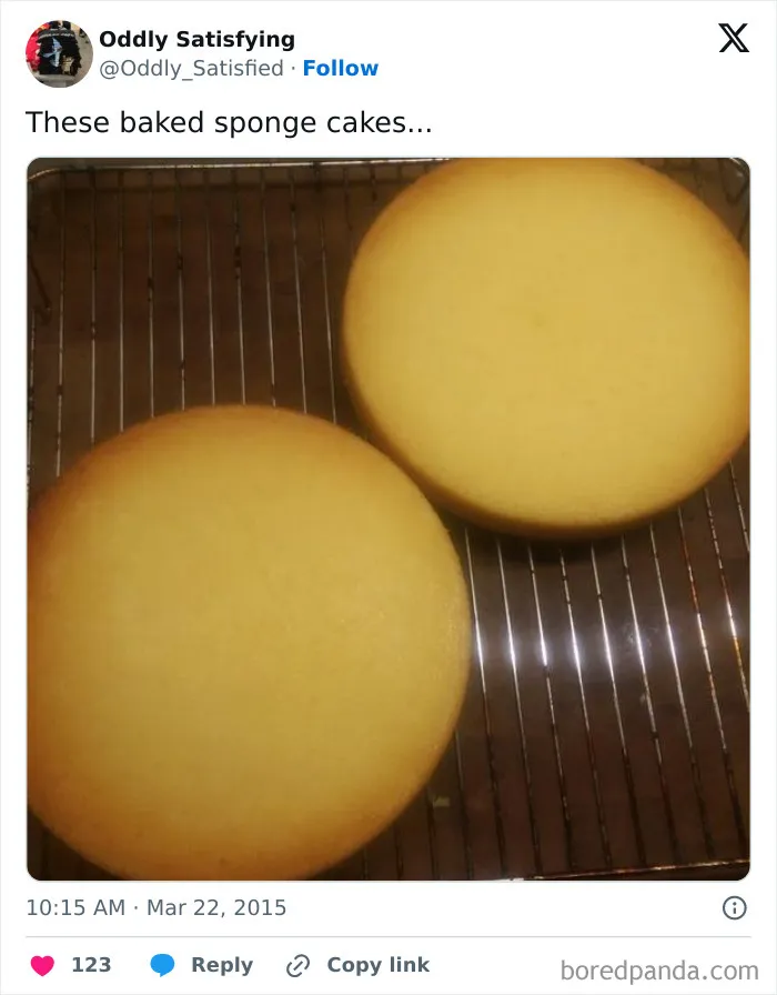 "Oddly Satisfying": 40 Times People Were Unexpectedly Pleasantly Surprised By What They Saw