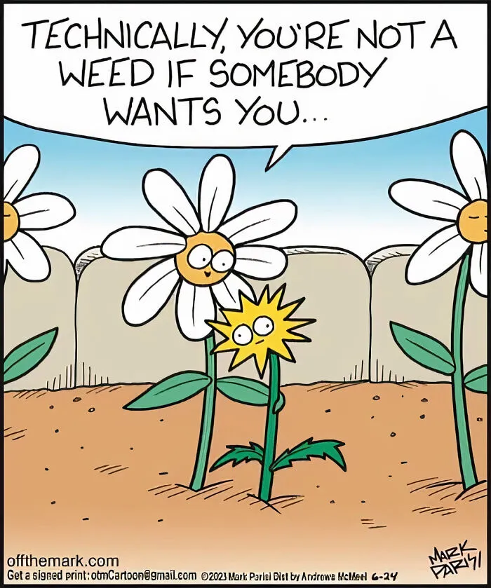50 New Comics By The Legendary Mark Parisi That Might Bring A Smile To Your Face