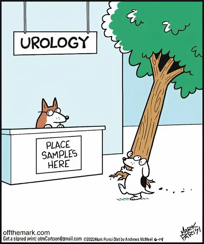 50 New Comics By The Legendary Mark Parisi That Might Bring A Smile To Your Face