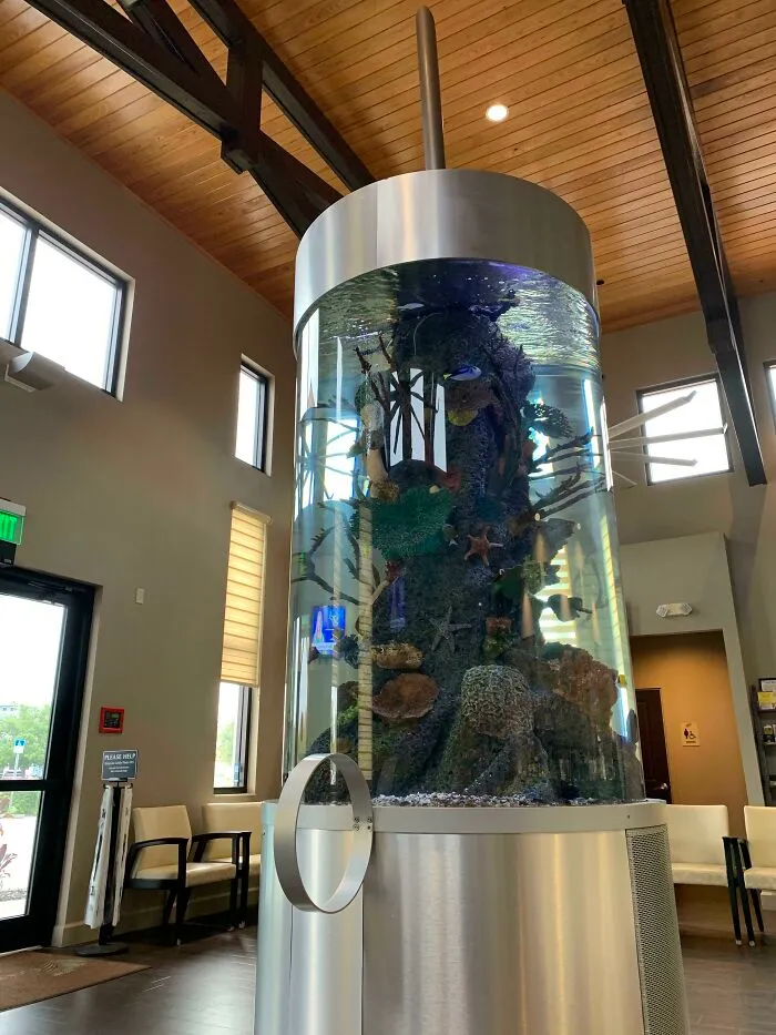 My Doctor’s Office Aquarium Is A Syringe