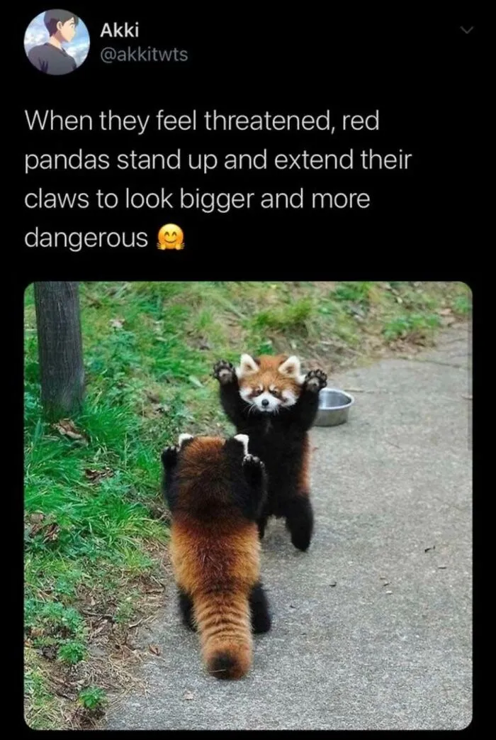 To Look Dangerous