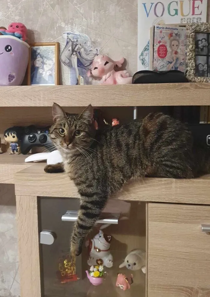 Lounging Around
