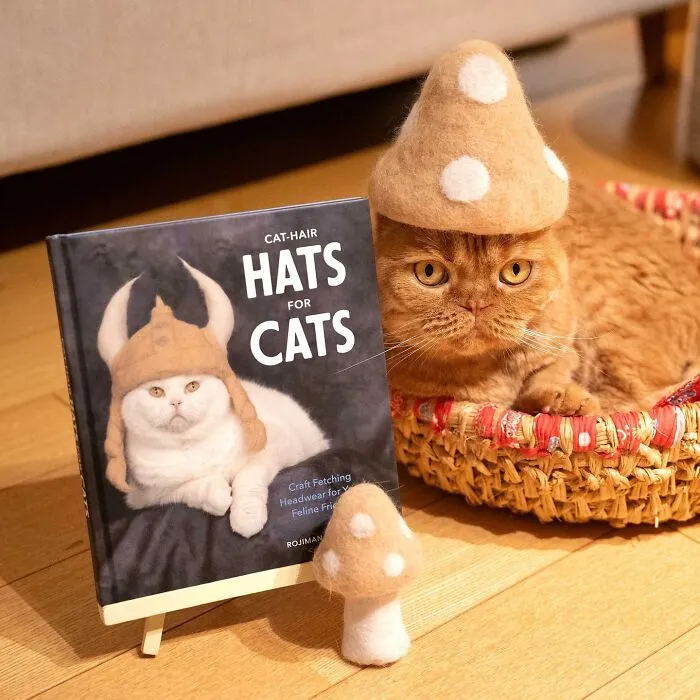 32 Adorable Feline Hats And Wigs This Japanese Couple Made From Naturally Shed Cats' Fur