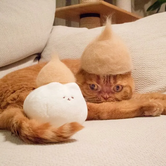 32 Adorable Feline Hats And Wigs This Japanese Couple Made From Naturally Shed Cats' Fur
