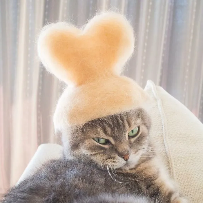 32 Adorable Feline Hats And Wigs This Japanese Couple Made From Naturally Shed Cats' Fur