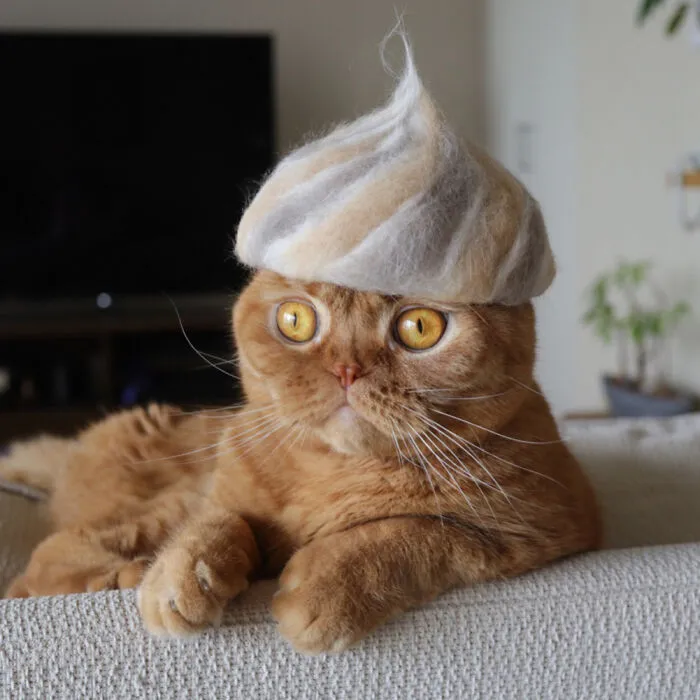 32 Adorable Feline Hats And Wigs This Japanese Couple Made From Naturally Shed Cats' Fur