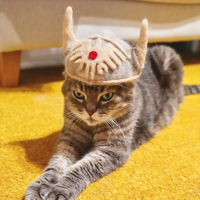 32 Adorable Feline Hats And Wigs This Japanese Couple Made From Naturally Shed Cats' Fur