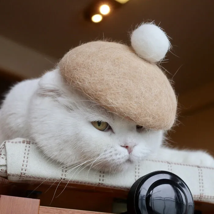 32 Adorable Feline Hats And Wigs This Japanese Couple Made From Naturally Shed Cats' Fur