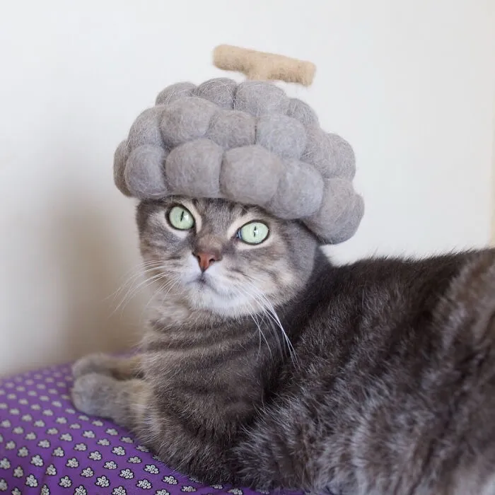 32 Adorable Feline Hats And Wigs This Japanese Couple Made From Naturally Shed Cats' Fur