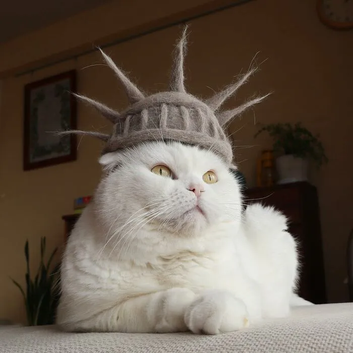 32 Adorable Feline Hats And Wigs This Japanese Couple Made From Naturally Shed Cats' Fur