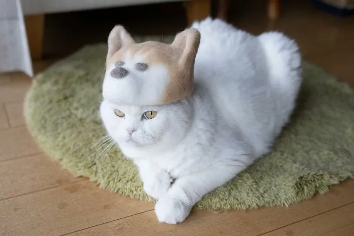 32 Adorable Feline Hats And Wigs This Japanese Couple Made From Naturally Shed Cats' Fur