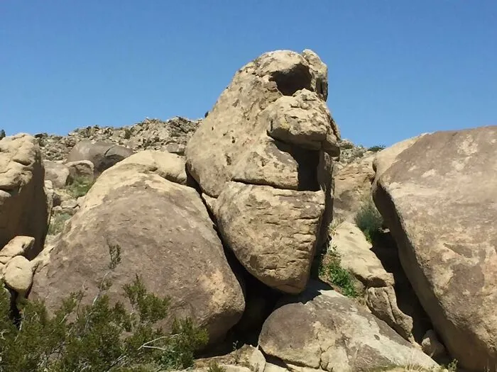 An Old Man I Met In The Desert Of California
