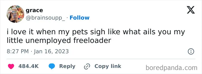 50 Of The Most Hilarious Comebacks To Have Graced The Internet