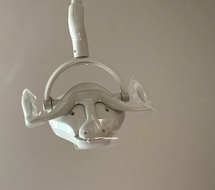 This Cow In My Dentist's Office
