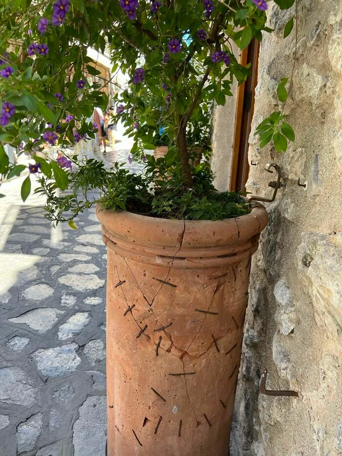 Maceta en Ravello, Italia