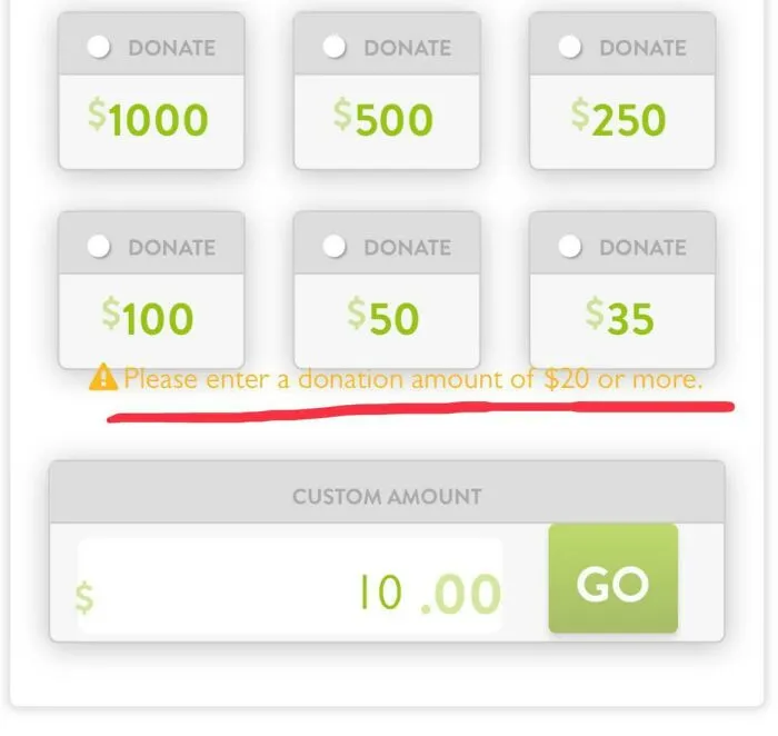 My Little Sister Is Raising Money For Her Dance Troupe And Her Mom Sent Me A Link Telling Me To Donate Whatever I Can Afford. I Can’t Donate Less Than $20