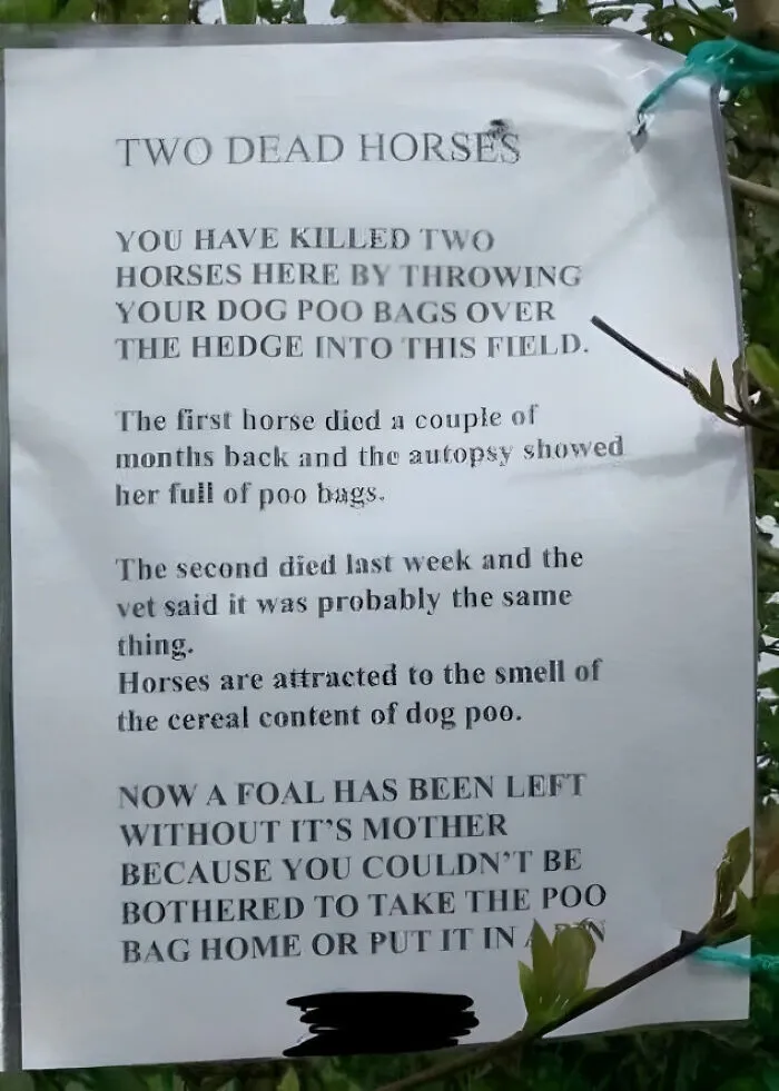 How Are People So Lazy